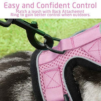 rabbitgoo - Arnés para gato para caminar, a prueba de escape, para gatos pequeños y medianos, arneses ajustables, arnés de malla suave para gatos pequeños, chaqueta de gato segura con tiras reflectantes y 1 anillo de metal - BESTMASCOTA.COM