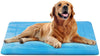 JoicyCo - Cama para perro, almohadilla 35/42/47 en camas lavables, colchón suave para perro, almohadillas antideslizantes para perrera, color de lujo - BESTMASCOTA.COM
