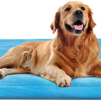 JoicyCo - Cama para perro, almohadilla 35/42/47 en camas lavables, colchón suave para perro, almohadillas antideslizantes para perrera, color de lujo - BESTMASCOTA.COM