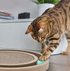 Best Pet Supplies, Inc. Catify - BESTMASCOTA.COM