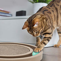 Best Pet Supplies, Inc. Catify - BESTMASCOTA.COM