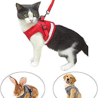 Arnés y correa para gato a prueba de fugas para caminar, chaleco ajustable de malla suave con correa para gatito, cachorro, conejo - BESTMASCOTA.COM