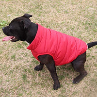 JoyDaog - Chaqueta de forro polar para perro, 2 capas, para cachorro, para invierno y clima frío, suave y resistente al viento, para perros pequeños - BESTMASCOTA.COM