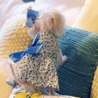 Petroom - Vestido de perro para cachorro, diseño de princesa floral para perros pequeños, gatos para verano - BESTMASCOTA.COM