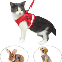 Arnés y correa para gato a prueba de fugas para caminar, chaleco ajustable de malla suave con correa para gatito, cachorro, conejo - BESTMASCOTA.COM