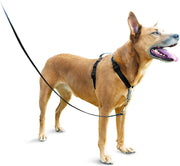 PetSafe 3in1 Harness, from The Makers of The Easy Walk Harness - BESTMASCOTA.COM