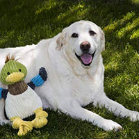 HuggleHounds - Juguete de peluche chirriante para perros con nudos para masticadores agresivos - BESTMASCOTA.COM