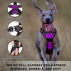 Arnés para perro BARKBAY sin tirones, arnés para perro reflectante con clip frontal y mango de control fácil para caminar, entrenamiento, correr - BESTMASCOTA.COM