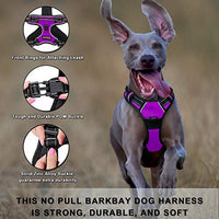 Arnés para perro BARKBAY sin tirones, arnés para perro reflectante con clip frontal y mango de control fácil para caminar, entrenamiento, correr - BESTMASCOTA.COM