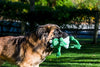 HuggleHounds - Juguete de peluche chirriante para perros con nudos para masticadores agresivos - BESTMASCOTA.COM