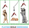 Pawaboo Juguete de plumas para gato, varita interactiva para gato, juguete de pluma voladora con varita extra larga y campana pequeña, juguete divertido para jugar para gatitos o gatos. - BESTMASCOTA.COM