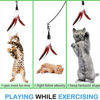 Pawaboo Juguete de plumas para gato, varita interactiva para gato, juguete de pluma voladora con varita extra larga y campana pequeña, juguete divertido para jugar para gatitos o gatos. - BESTMASCOTA.COM