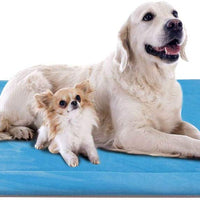 JoicyCo - Cama para perro, almohadilla 35/42/47 en camas lavables, colchón suave para perro, almohadillas antideslizantes para perrera, color de lujo - BESTMASCOTA.COM