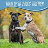 Pet Union PT0Z1 collar de entrenamiento para perros, totalmente impermeable, rango de 1200 pies - BESTMASCOTA.COM